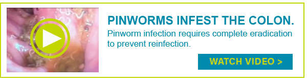 Pinworms infest the colon video